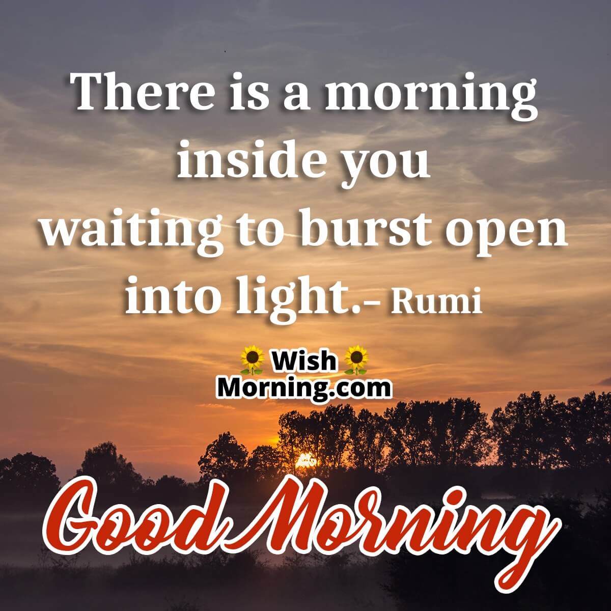 Good Morning Rumi Pic