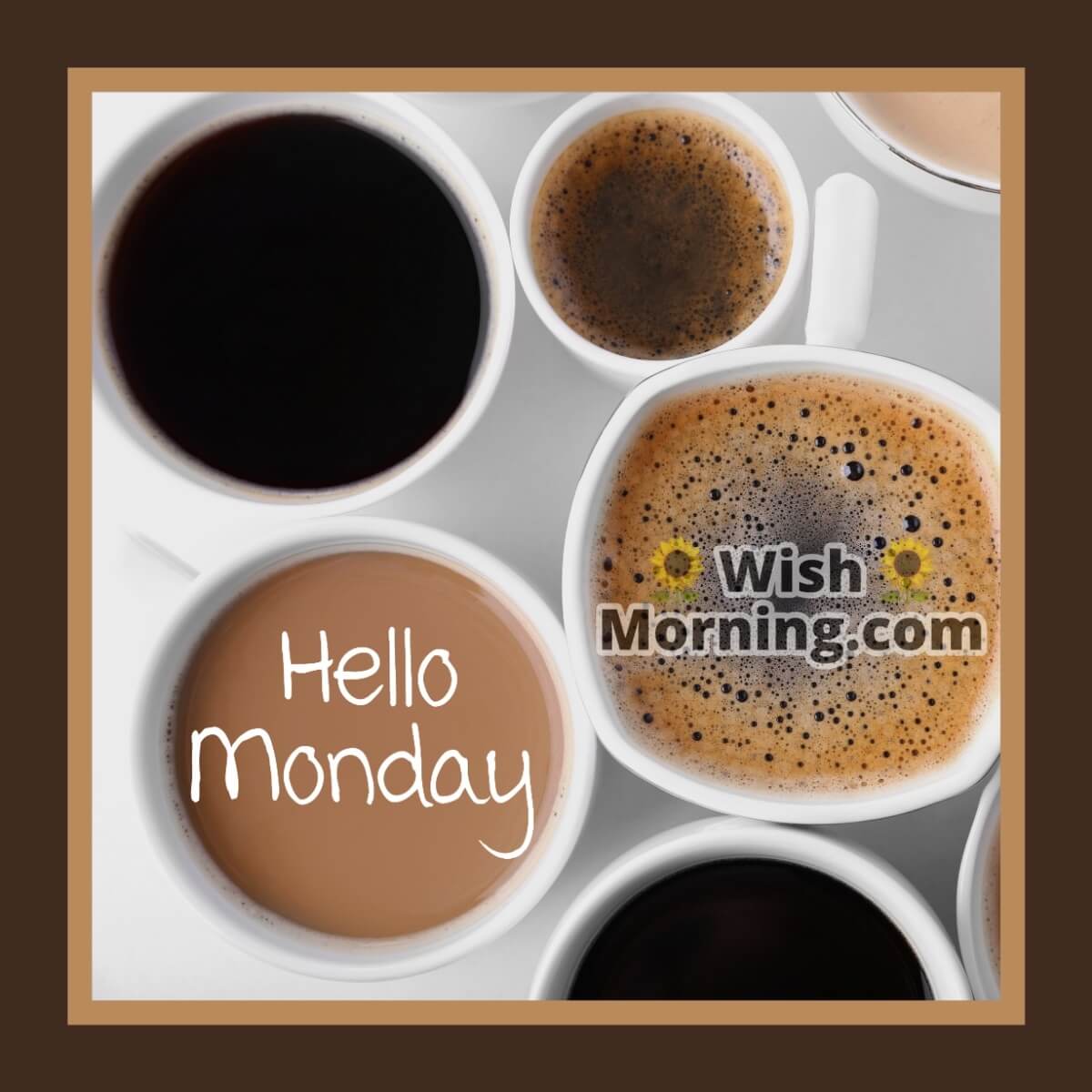 Hello Monday Coffees