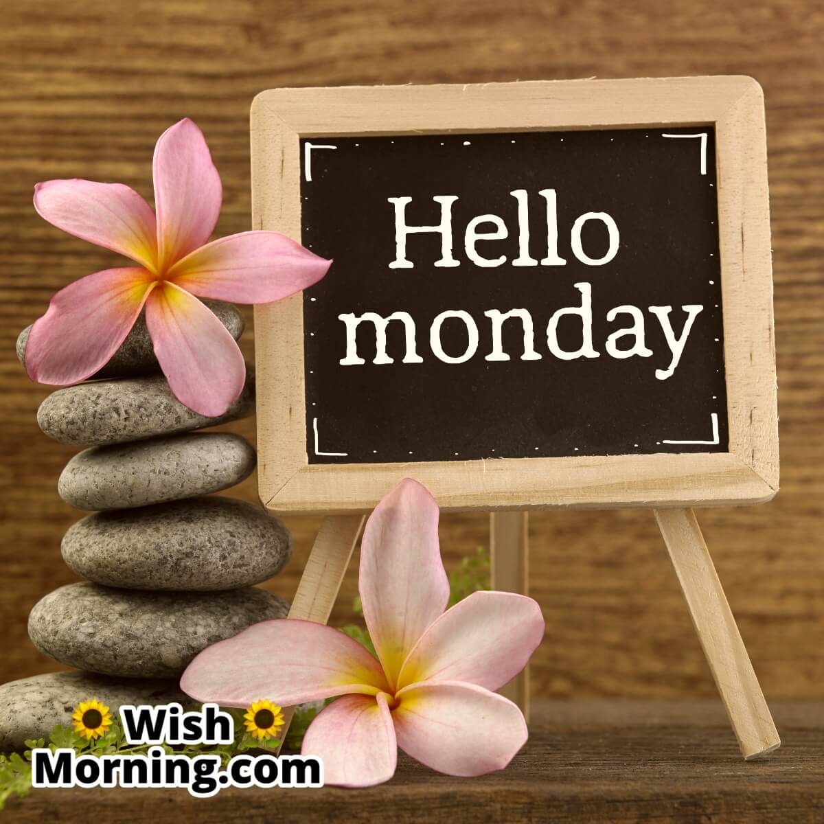 Hello Monday Flowers