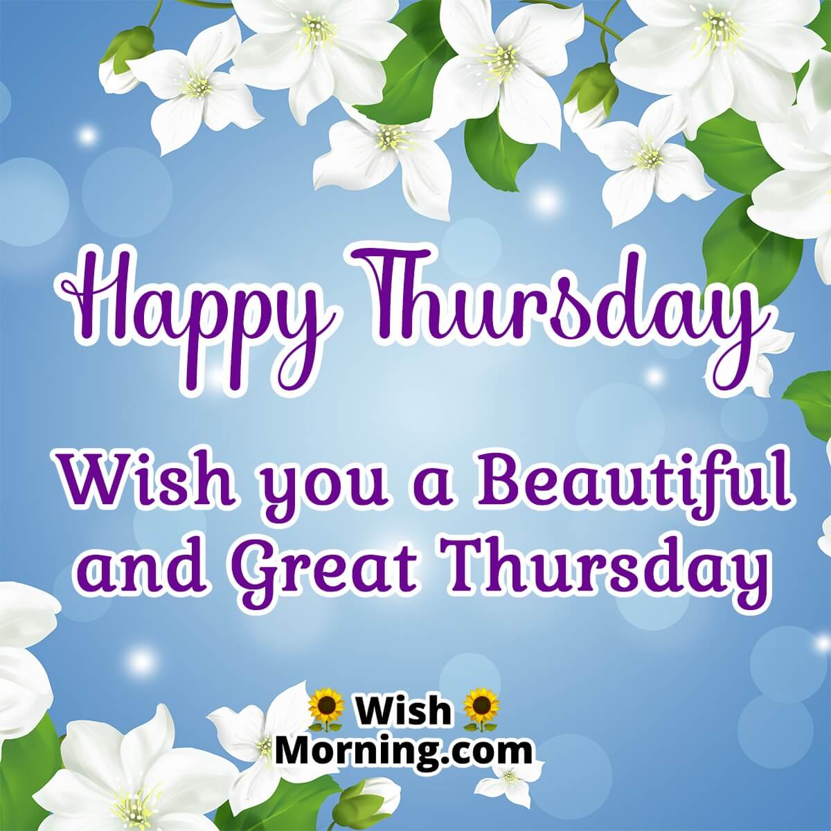 Beautiful And Great Thursday