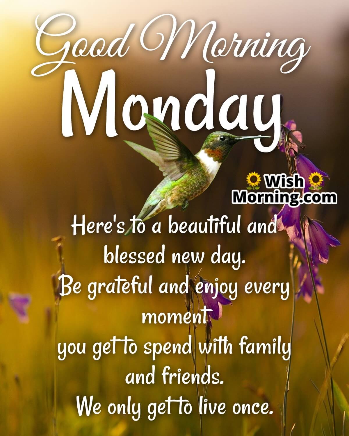 Good Morning Beautiful Blessed Monday