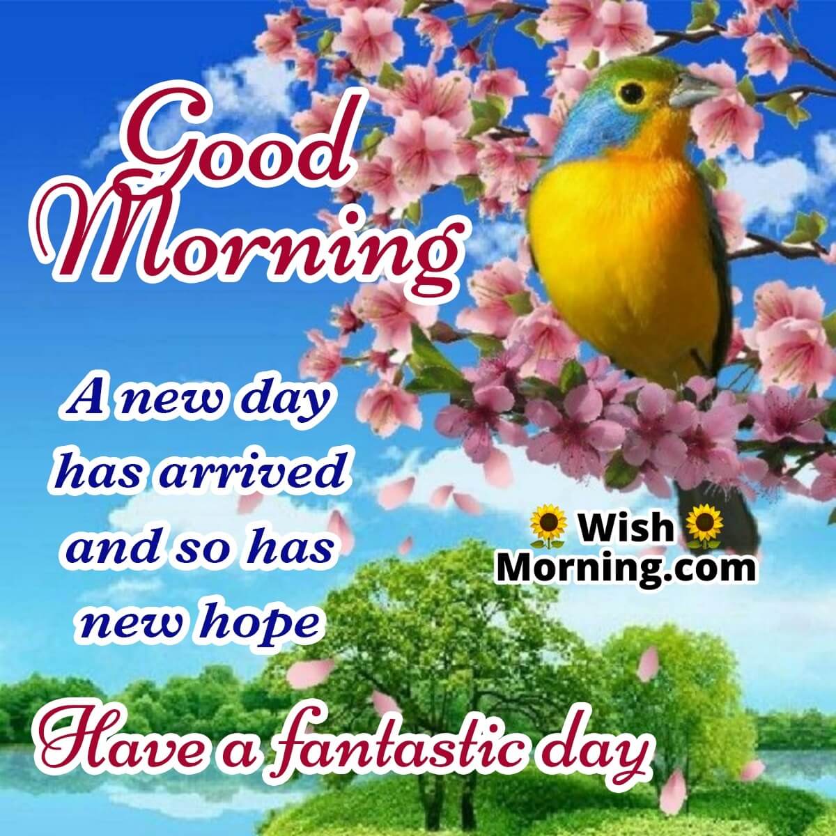 Good Morning Birds Wish