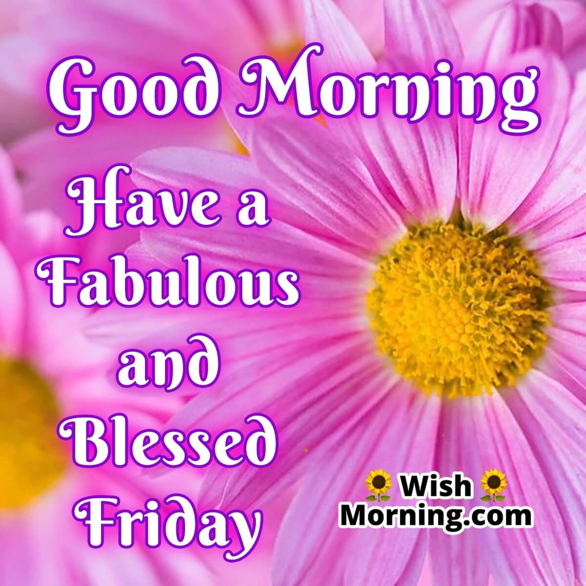 Good Morning Fabulous And Blessed Friday