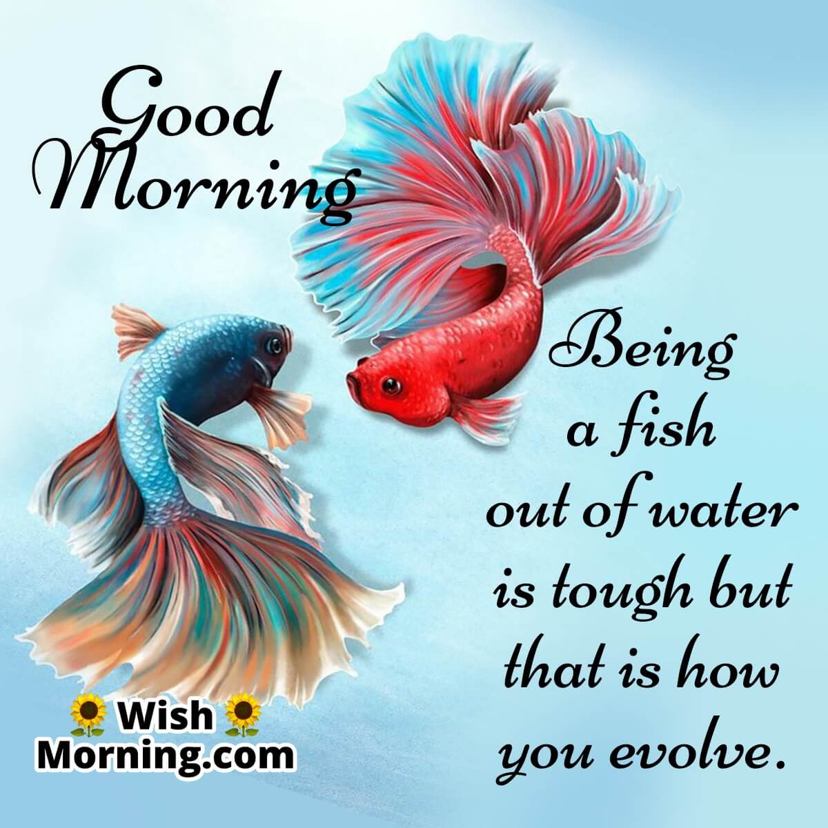 Good Morning Fish Quote