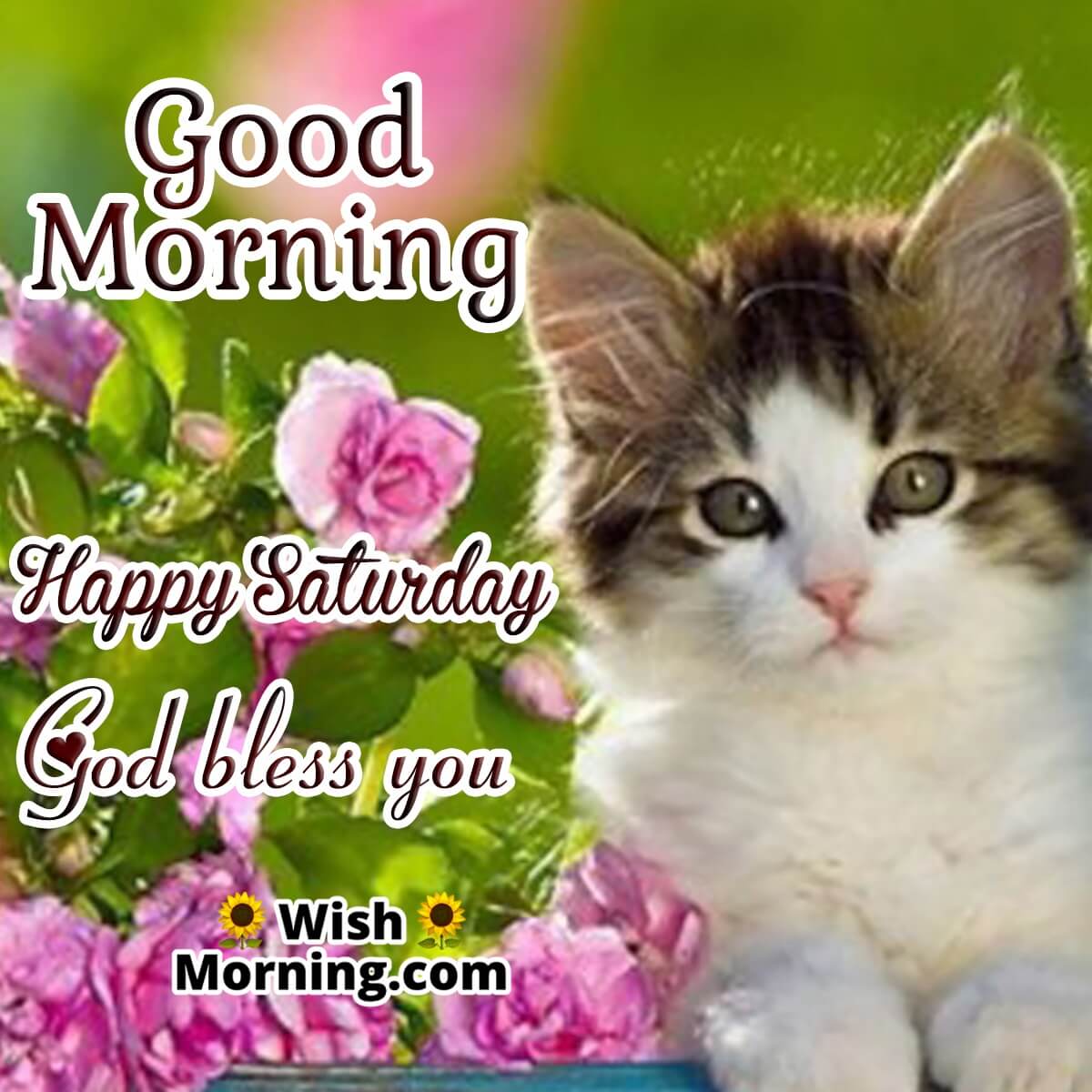 Good Morning Happy Saturday God Bless You