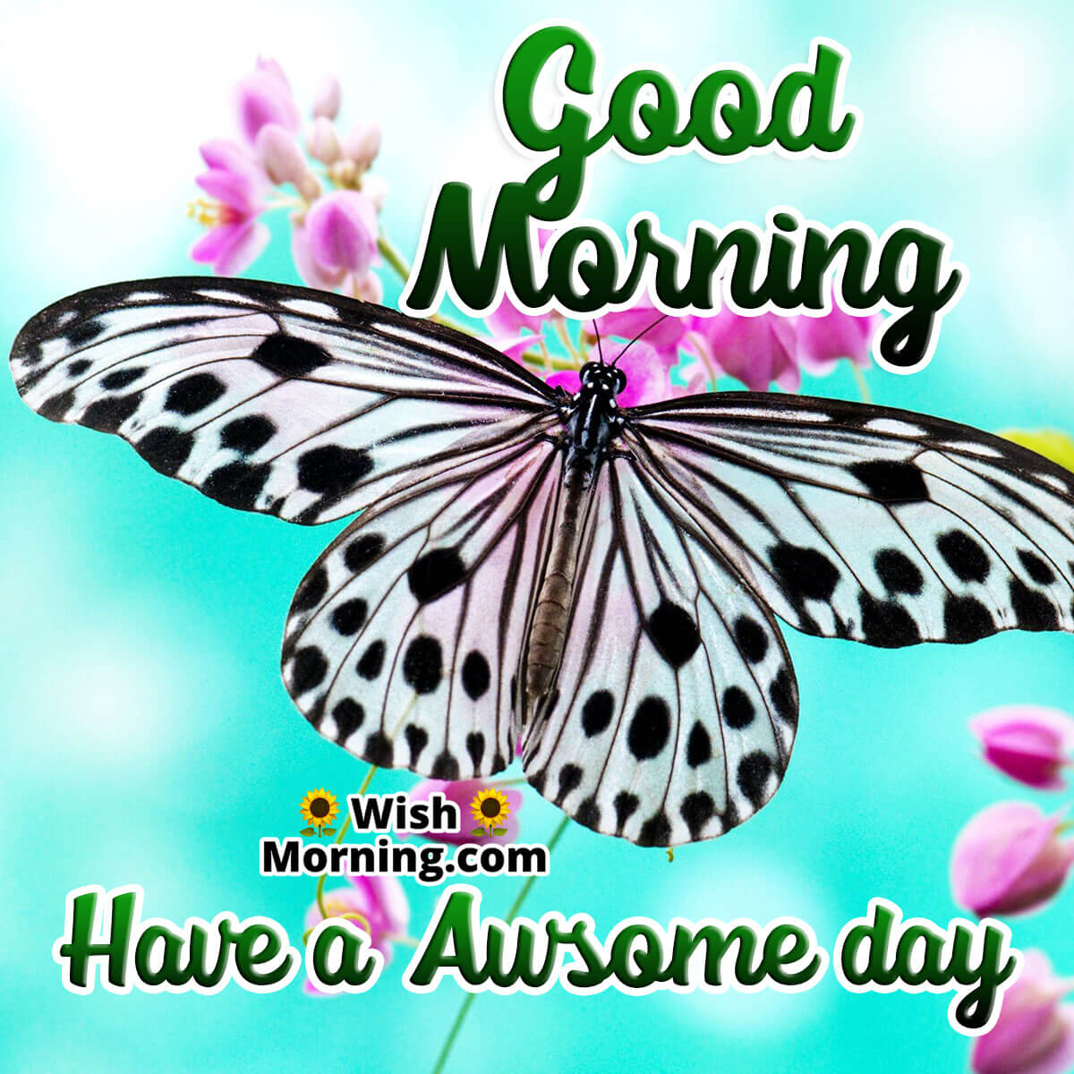 Good Morning Butterfly Images - Wish Morning