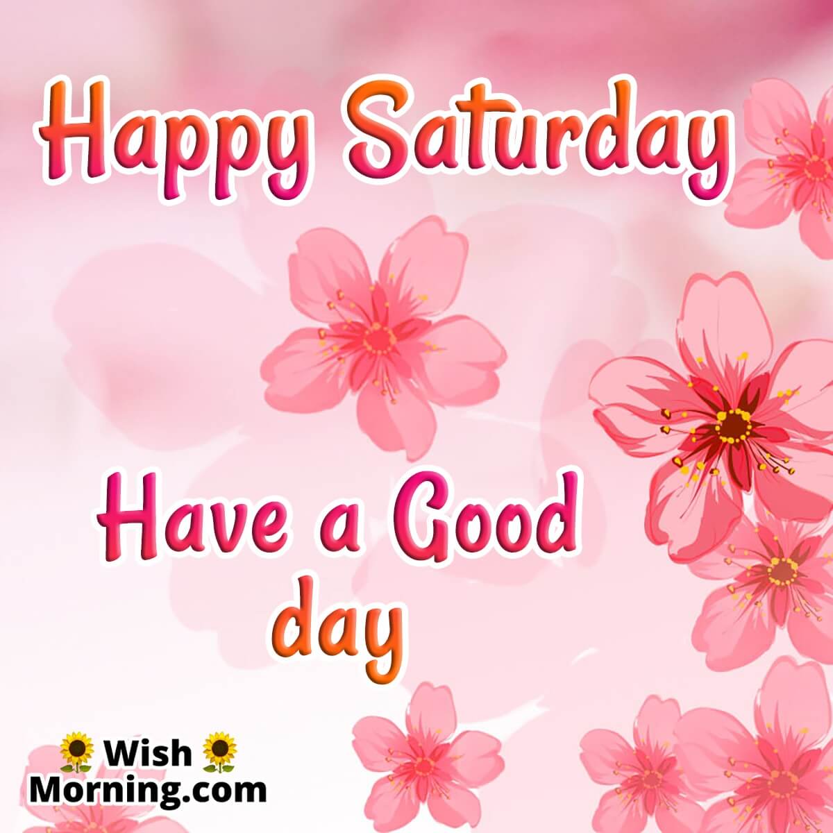 Saturday Morning Wishes - Wish Morning