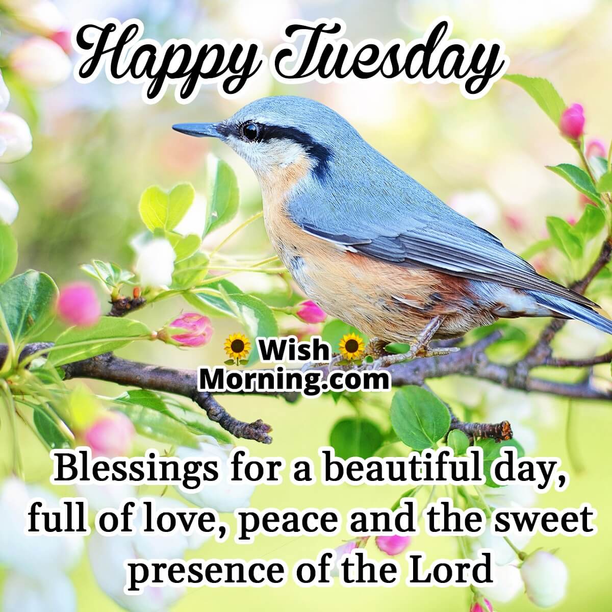 Happy Tuesday Blessings For A Beautiful Day