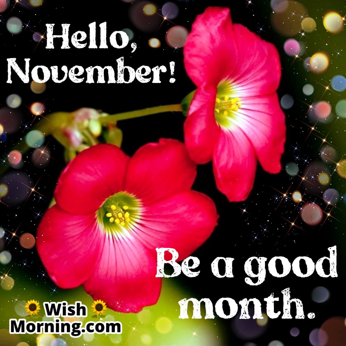 Hello November Month Wish