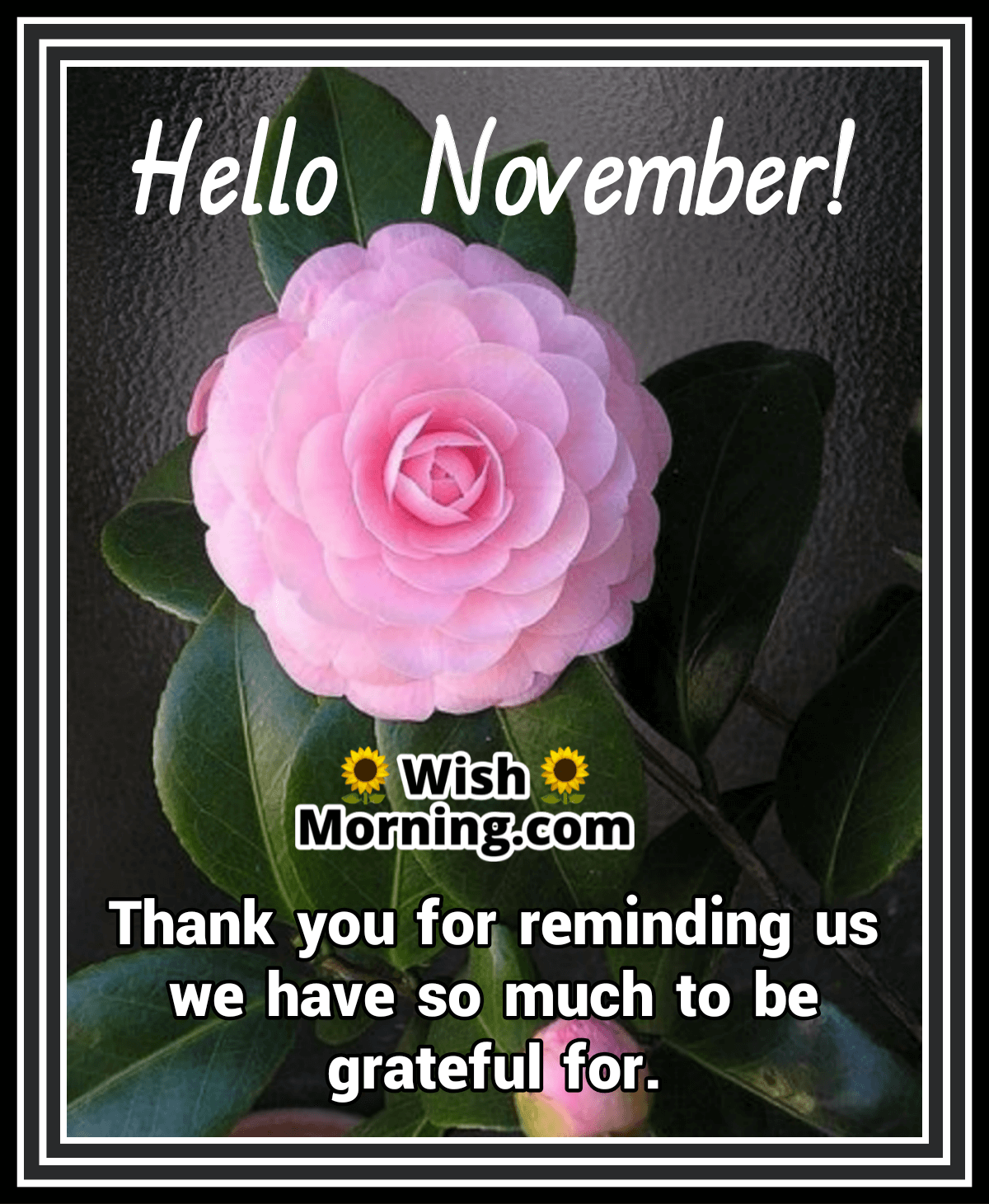 Hello November Thank You