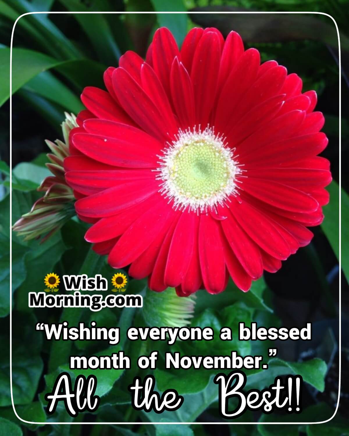November Month Wishes