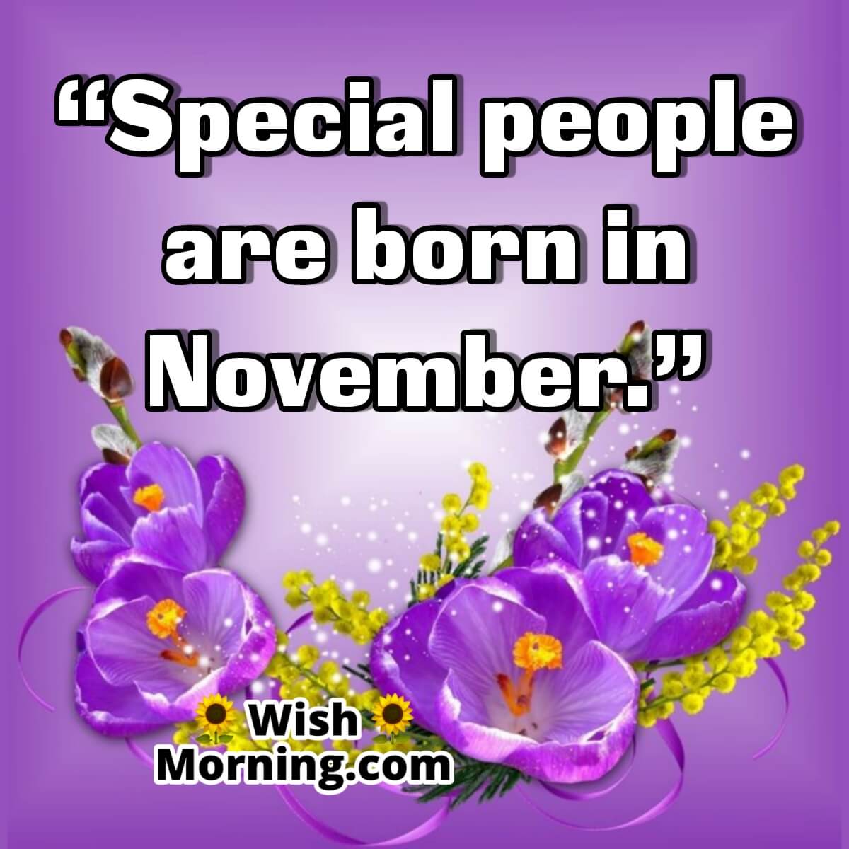 Special People Are Born In November