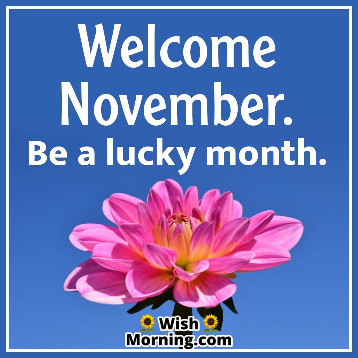 Welcome November Quotes