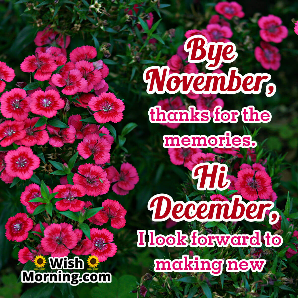 Bye November Hi December