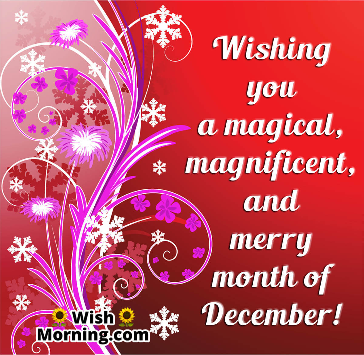 December Month Wish Photo