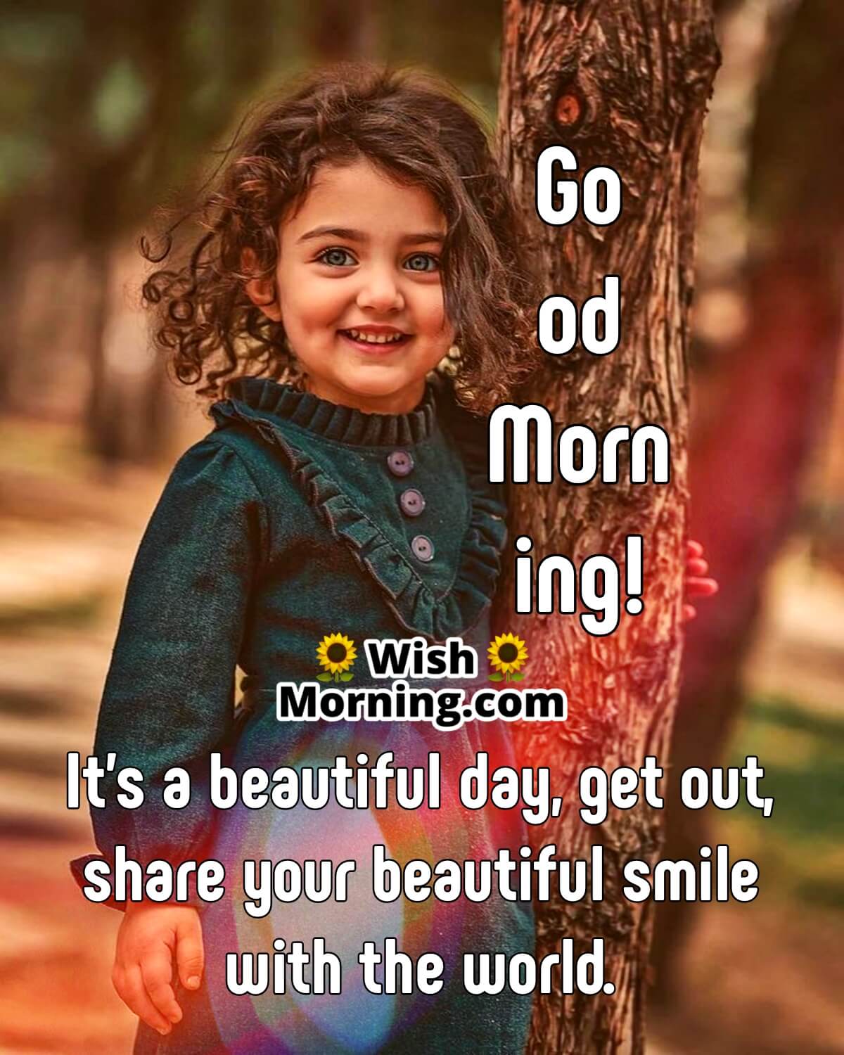 Good Morning Beautiful Images - Wish Morning