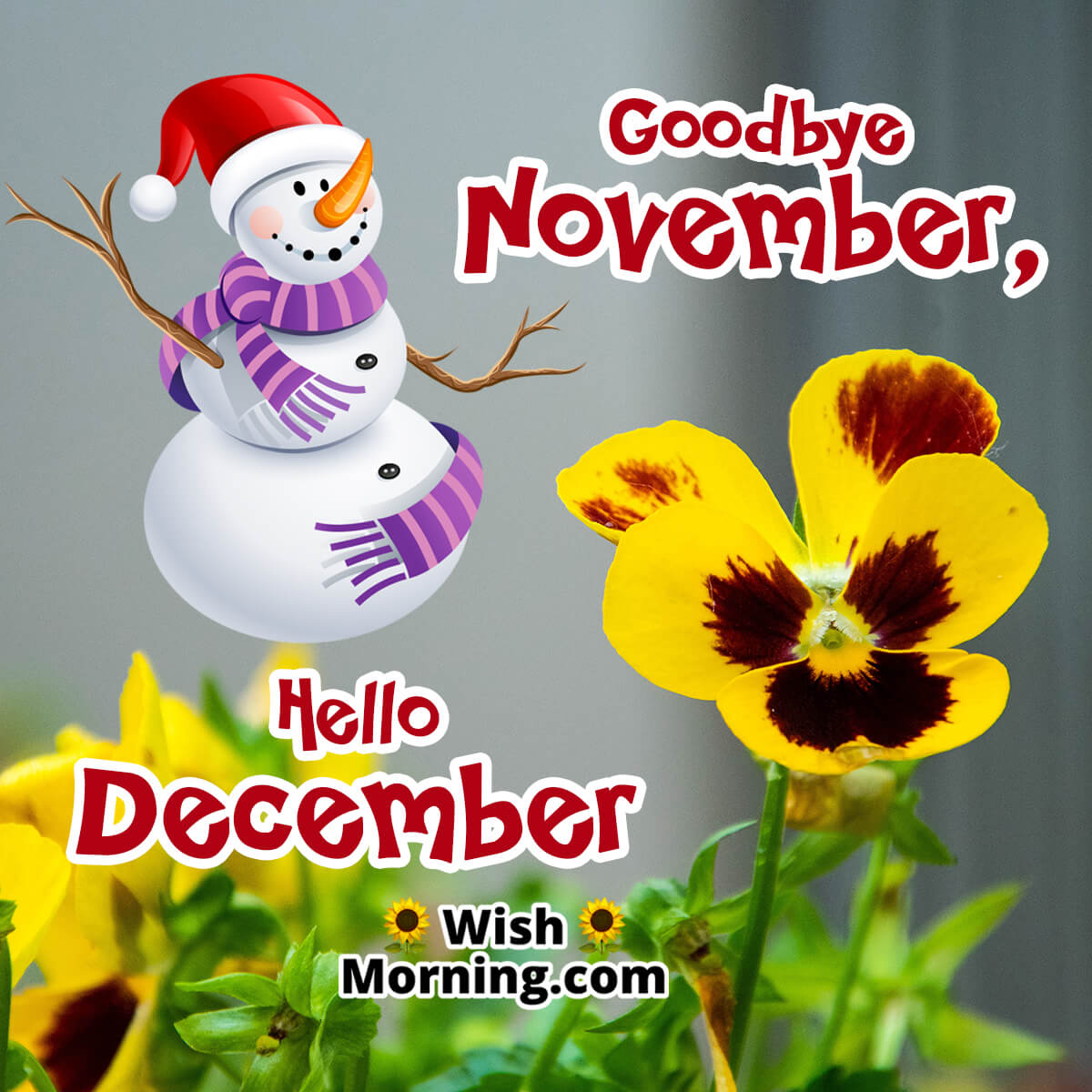 Goodbye November, Hello December