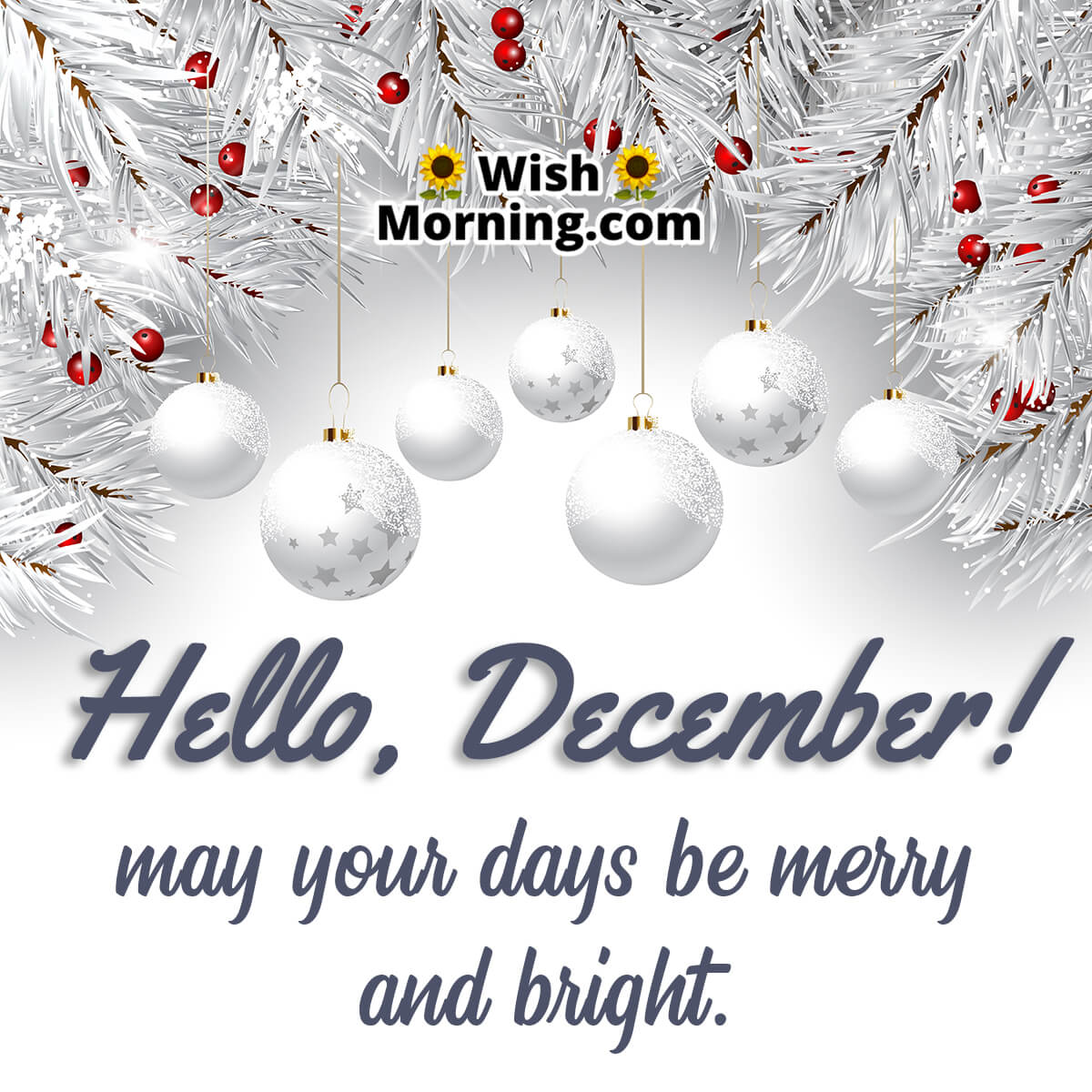 December Month Wishes and Quotes for Joy and Blessings Wish Morning