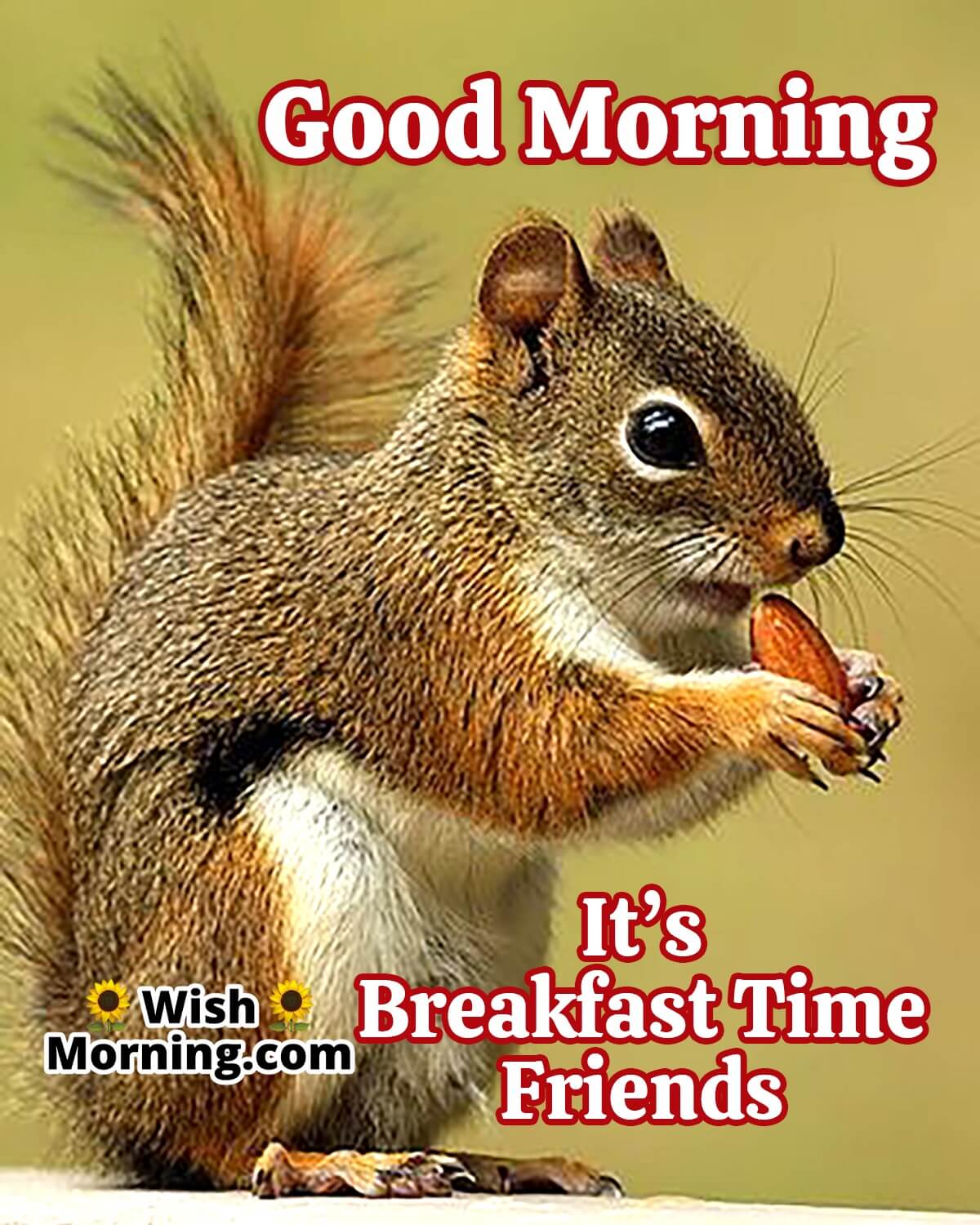 Good Morning Breakfast Time Friends
