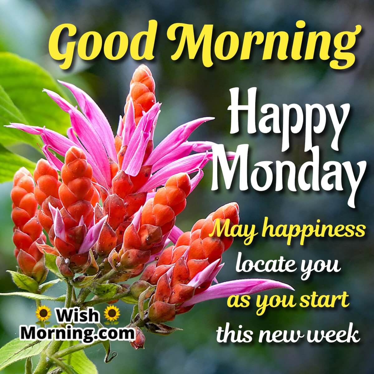 Good Morning Happy Monday New Week