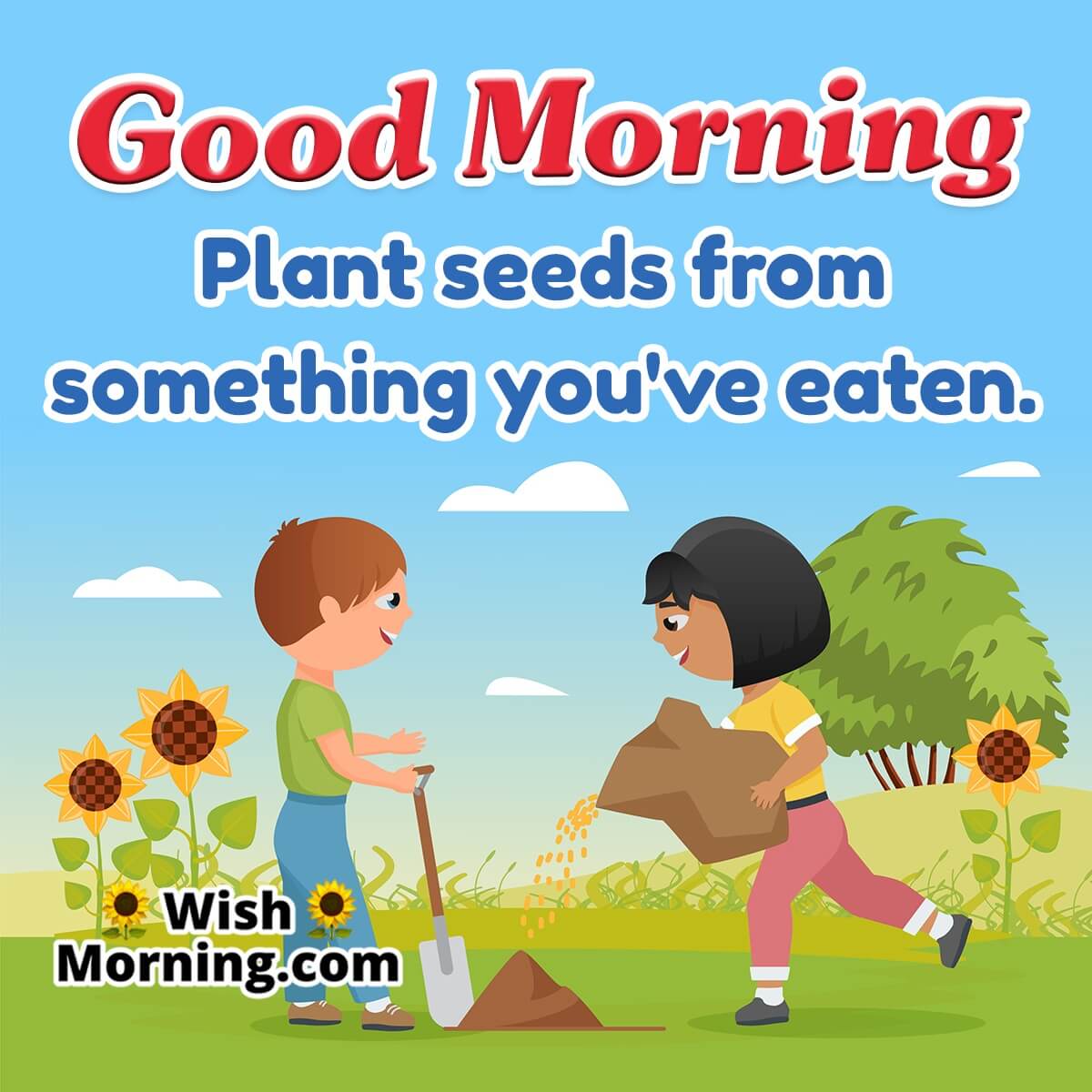Good Morning Plant Seeds