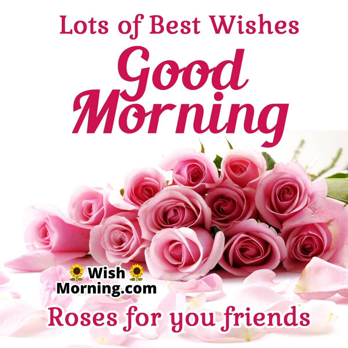 Good Morning Wishes With Rose Flower - Wish Morning