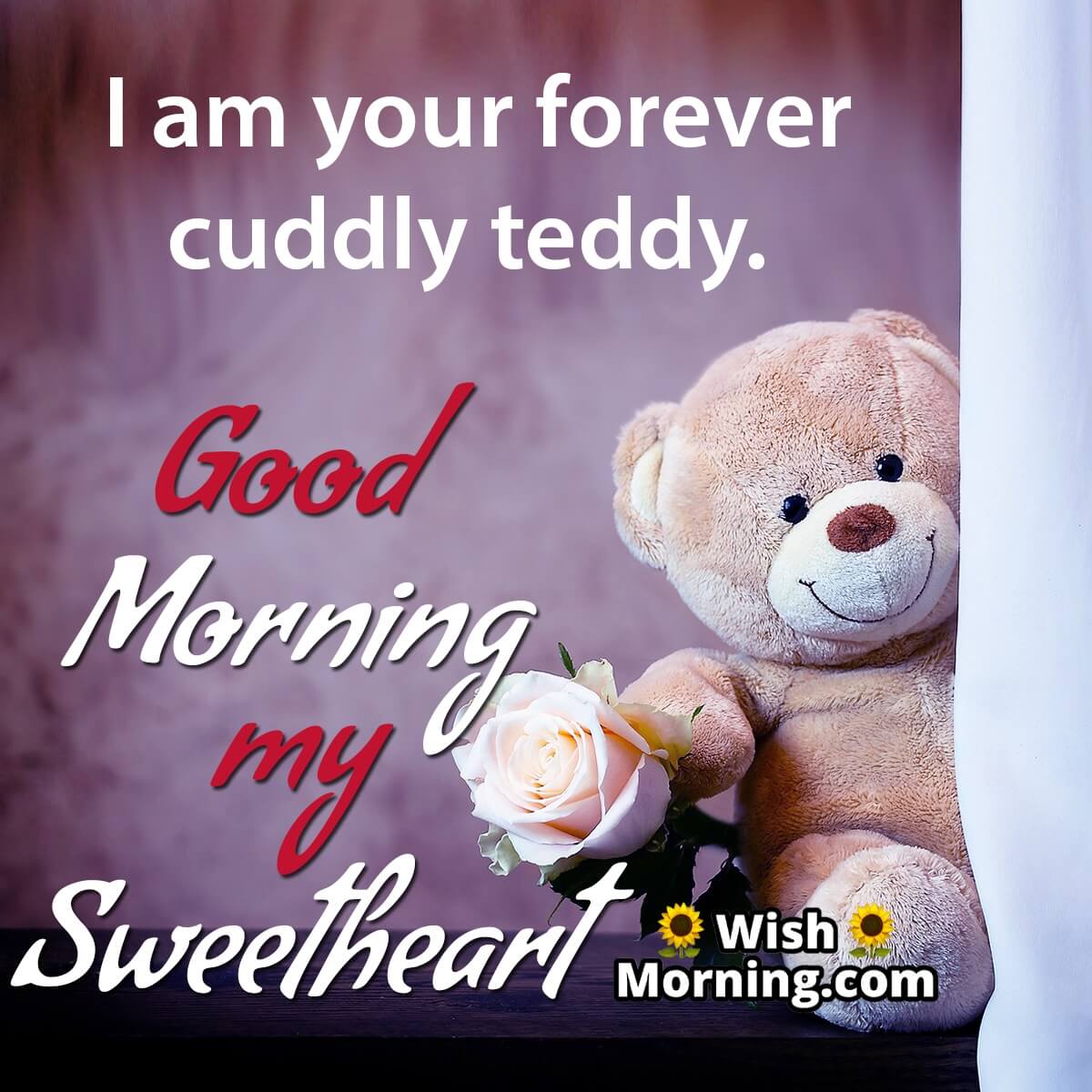 Good Morning Teddy Message For Girlfriend