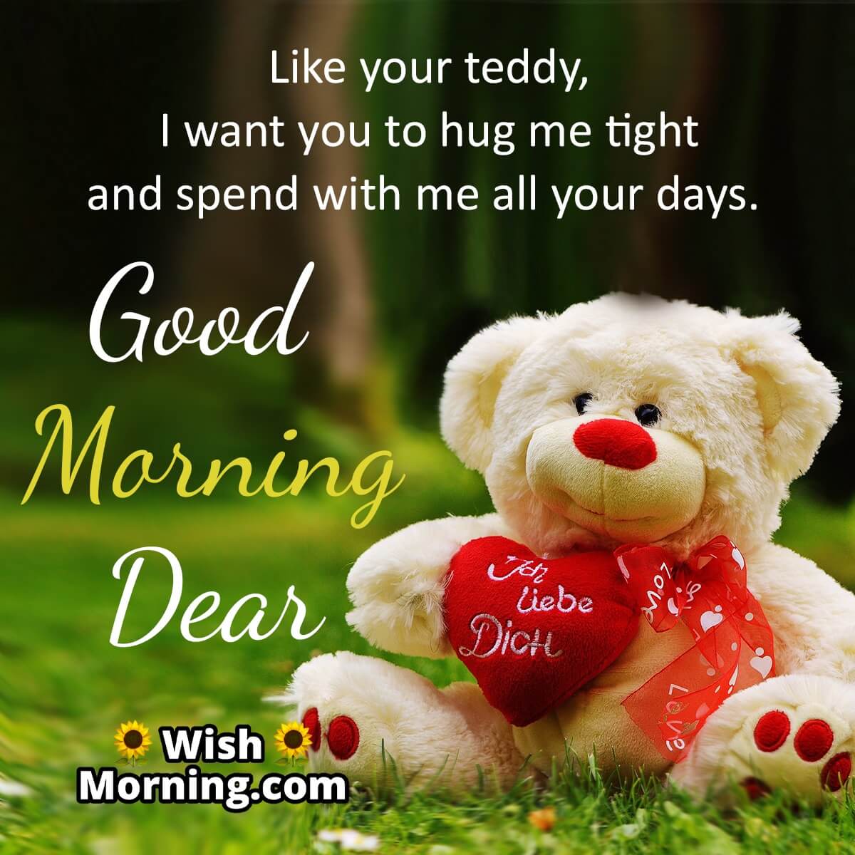 Good Morning Teddy Cards - Wish Morning