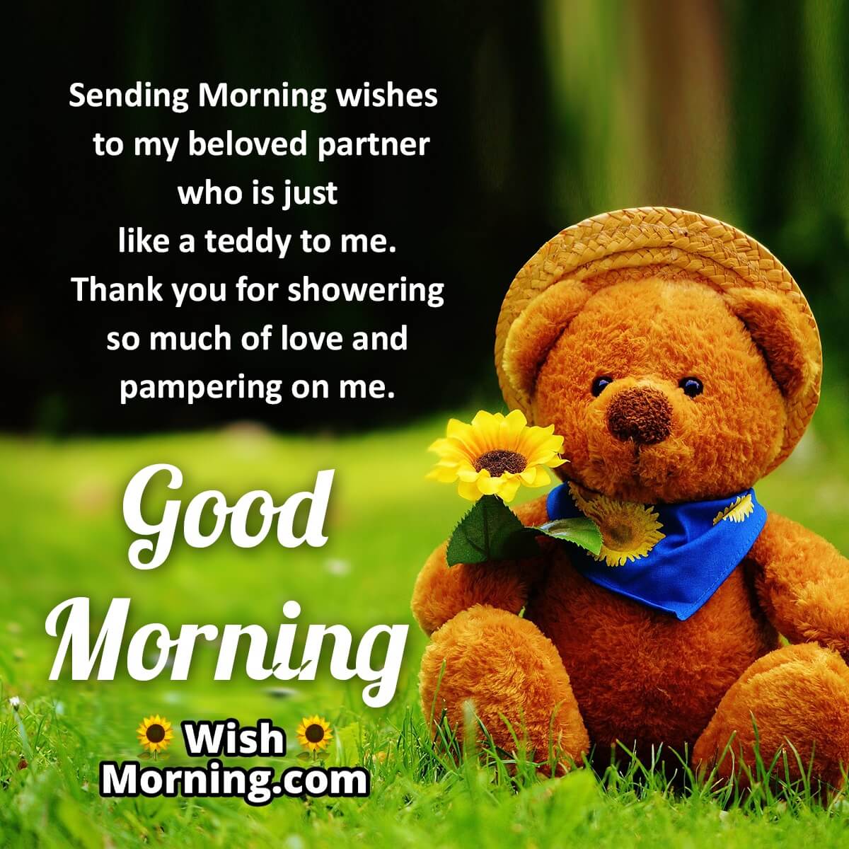 Good Morning Teddy Message For Partner