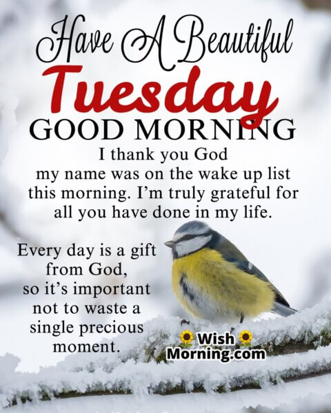 Best Tuesday Morning Quotes Wishes Wish Morning best-tuesday-morning-quotes-wishes-wish-morning