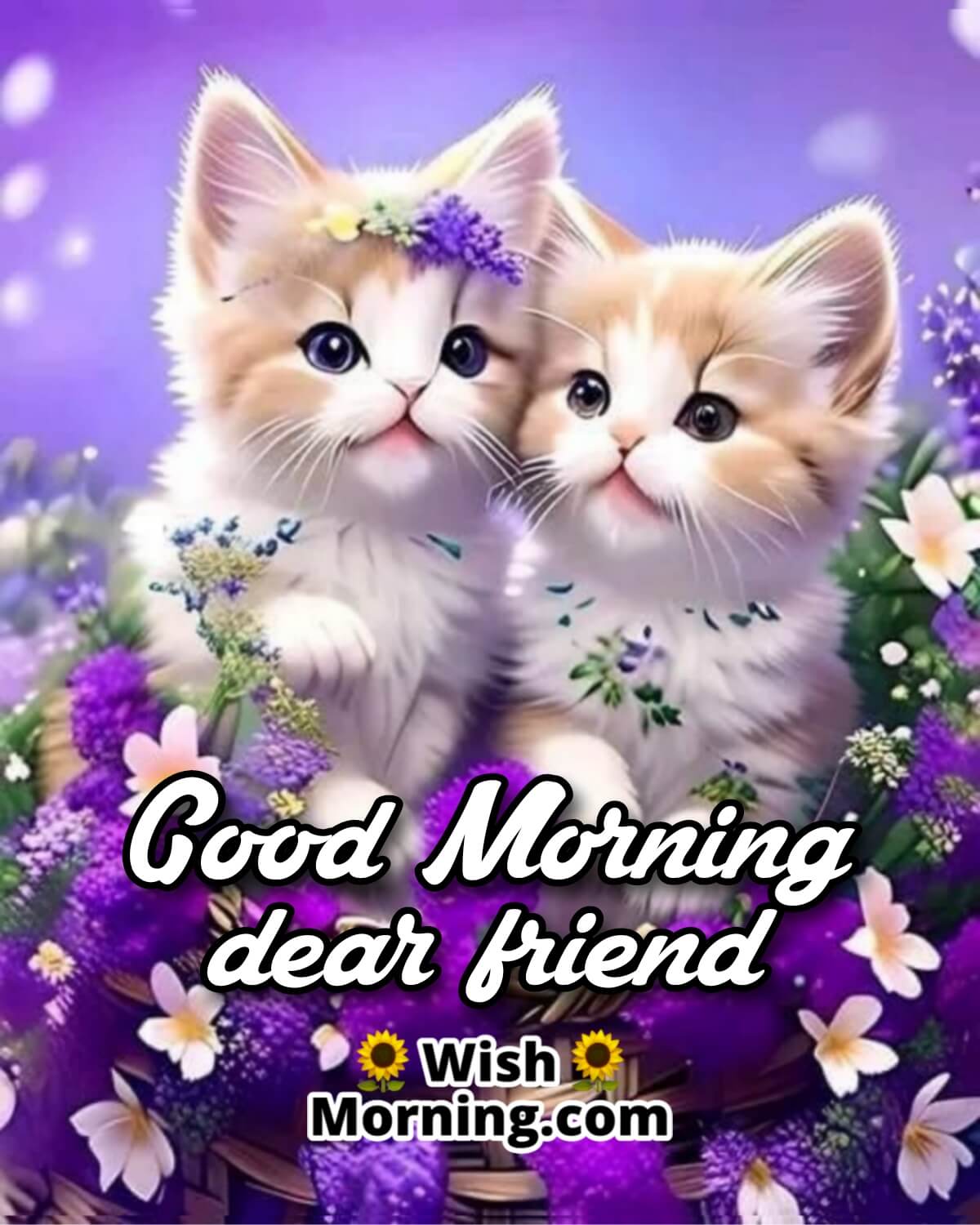 Good Morning Cats For Friend