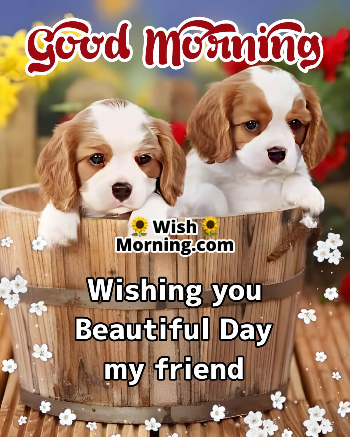 Good Morning Dog Images - Wish Morning