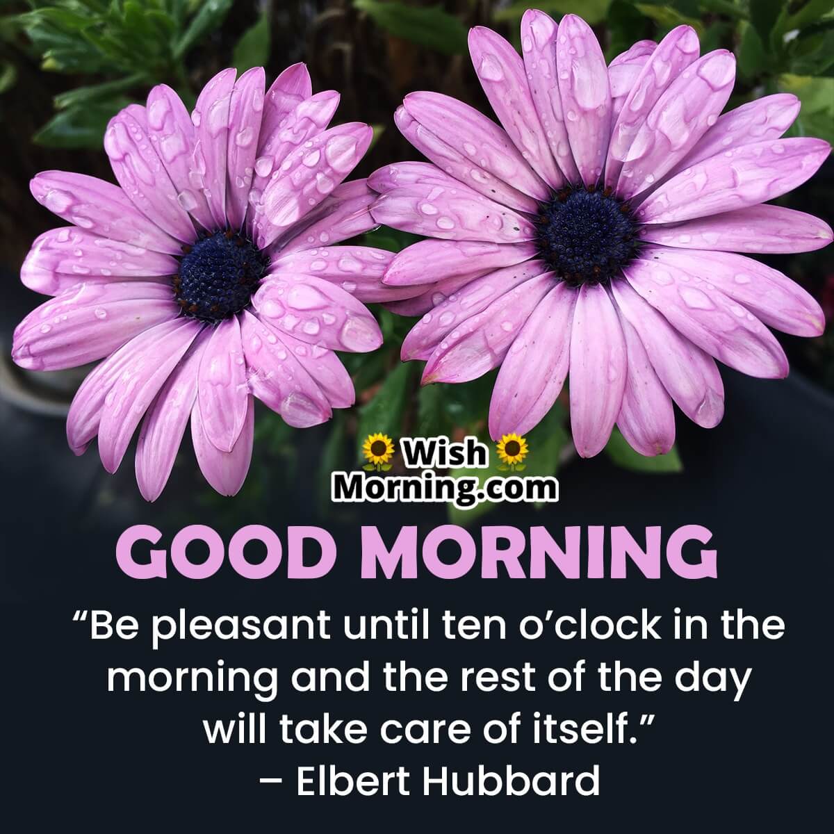 Inspirational Good Morning Quotes - Wish Morning