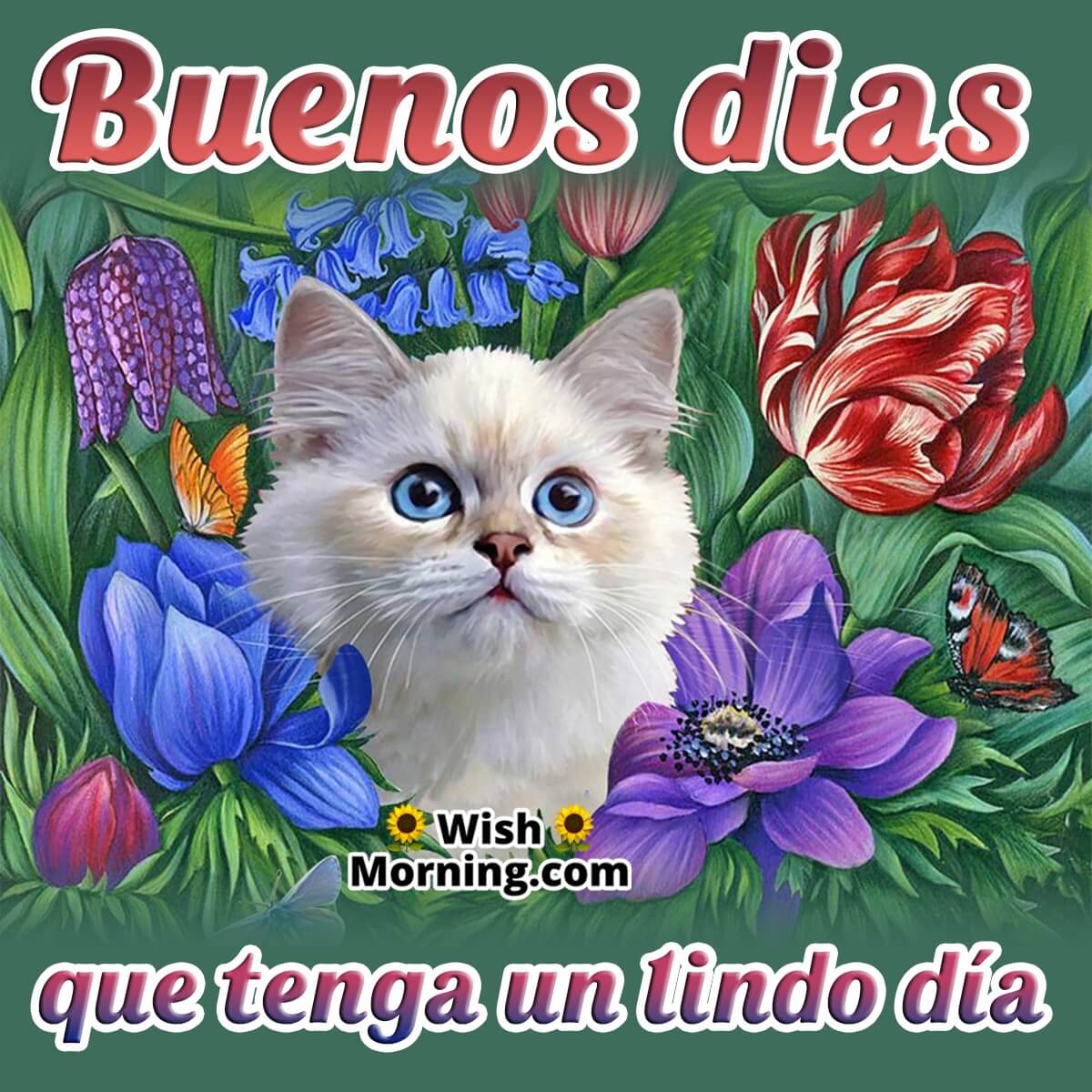 Good Morning Spanish Images For Positive Joyful Day Wish Morning