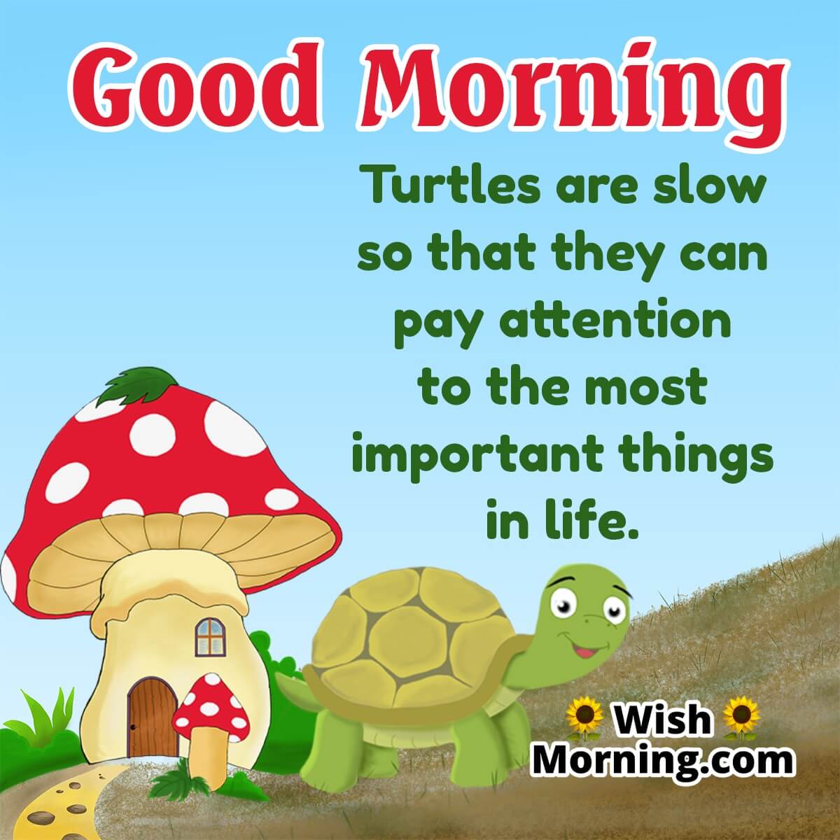 Good Morning Turtle Inspiring Quote