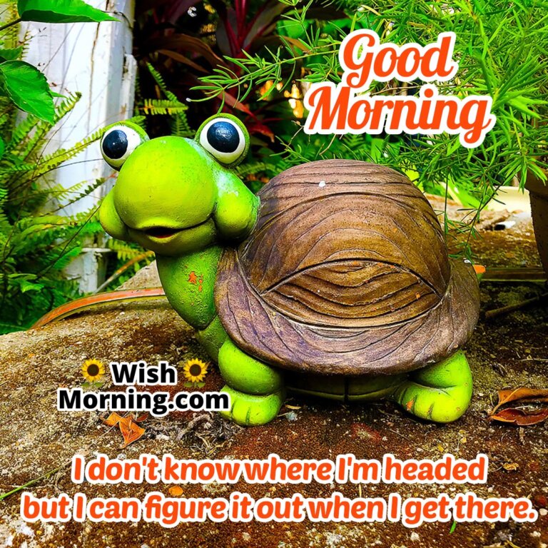 Good Morning Tortoise Images for Peaceful and Positive Start - Wish Morning