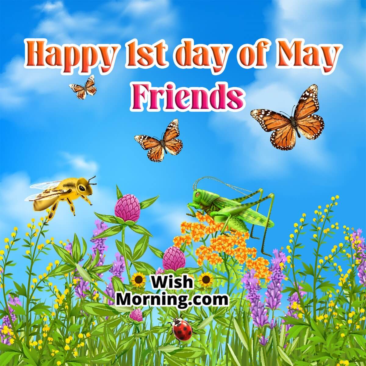 Happy 1st Day Of May Friends