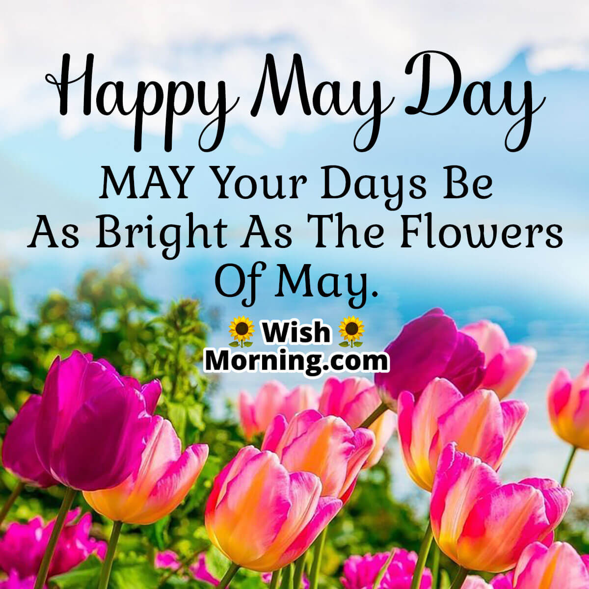 Happy May Day Wish Image