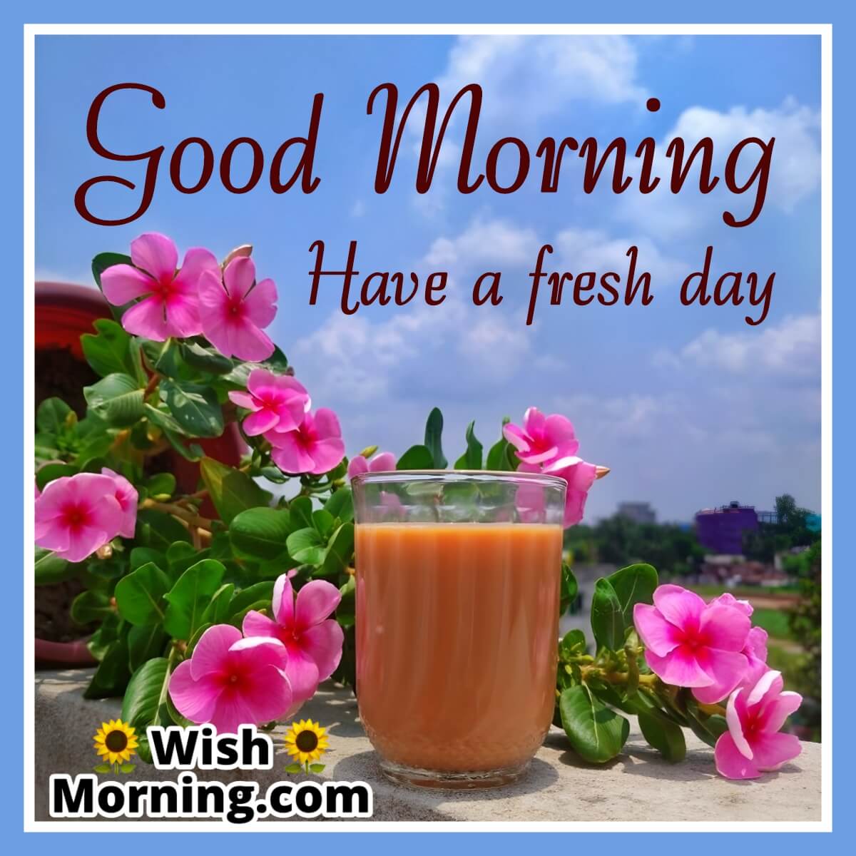 Good Morning Have A Fresh Day
