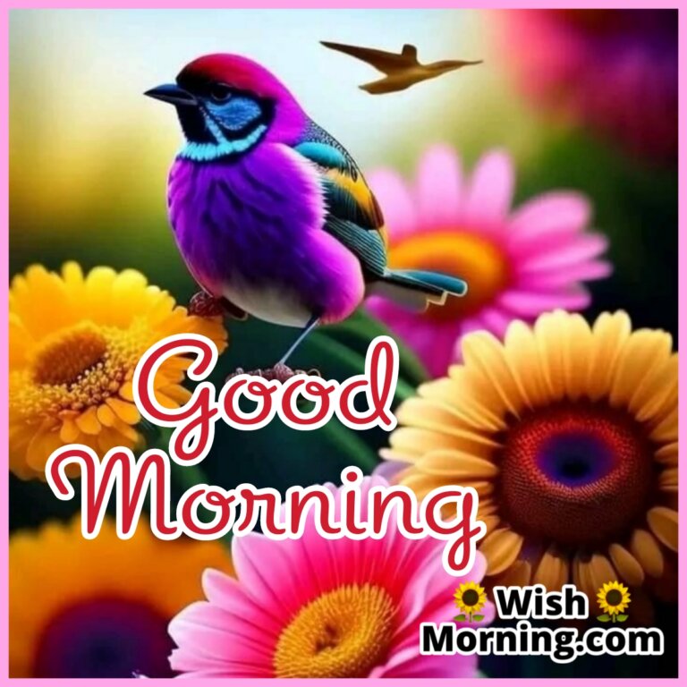 Good Morning Birds Images - Wish Morning
