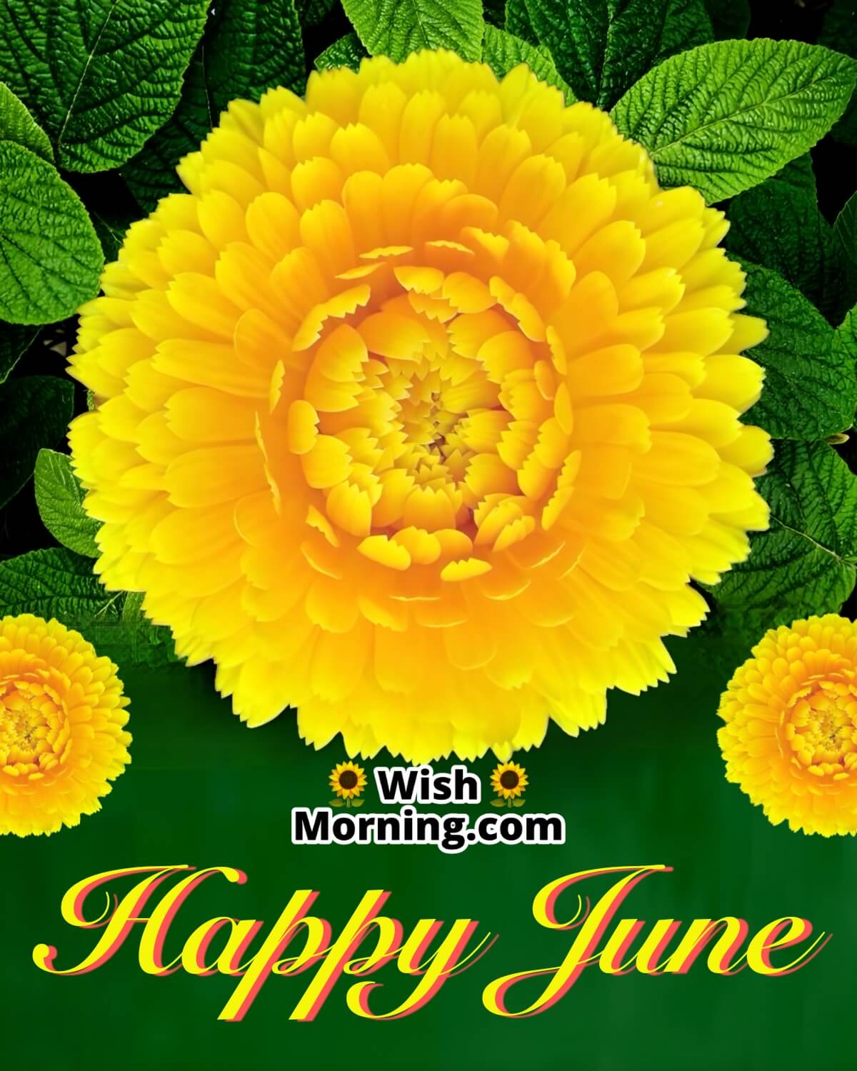 Happy June