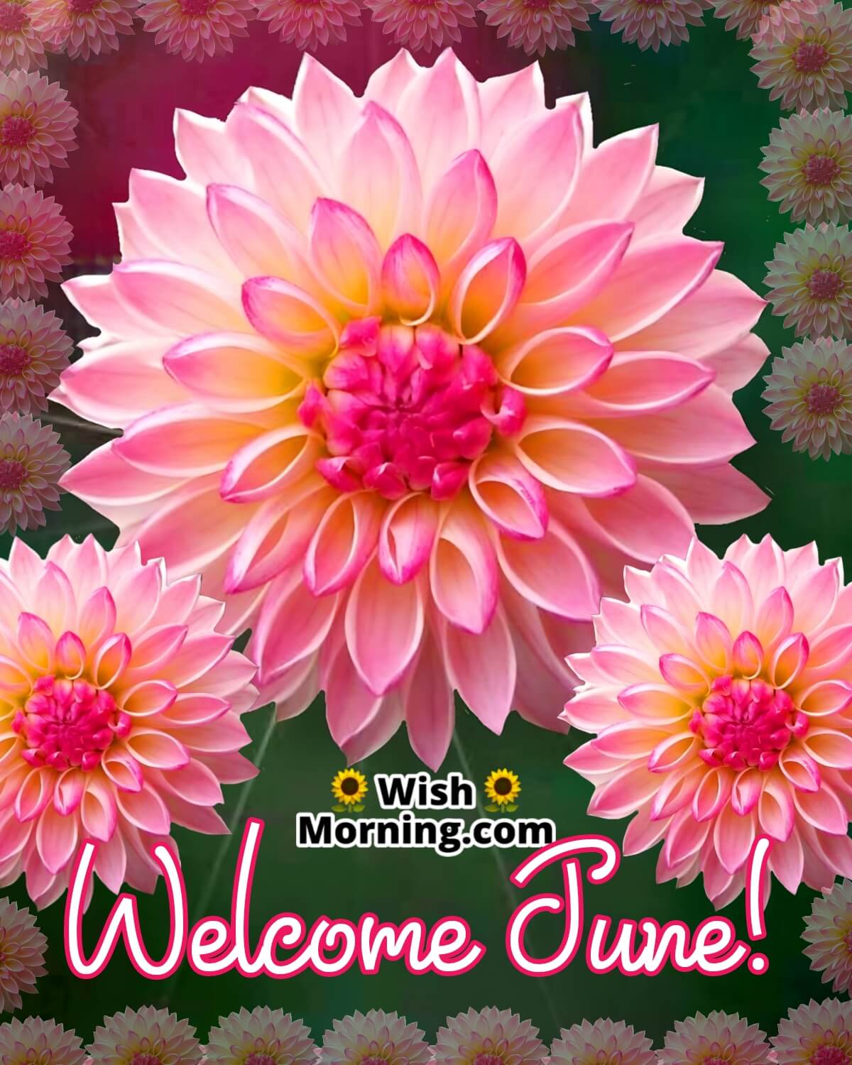 Welcome, June
