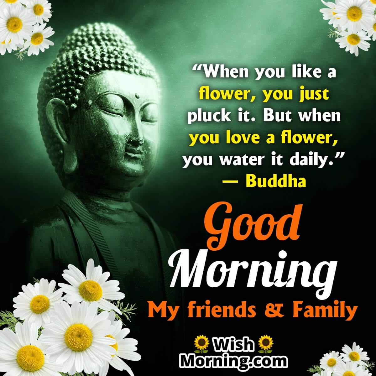 Good Morning Buddha Quotes On Love