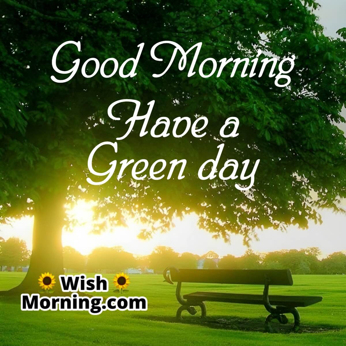Good Morning Have A Green Day