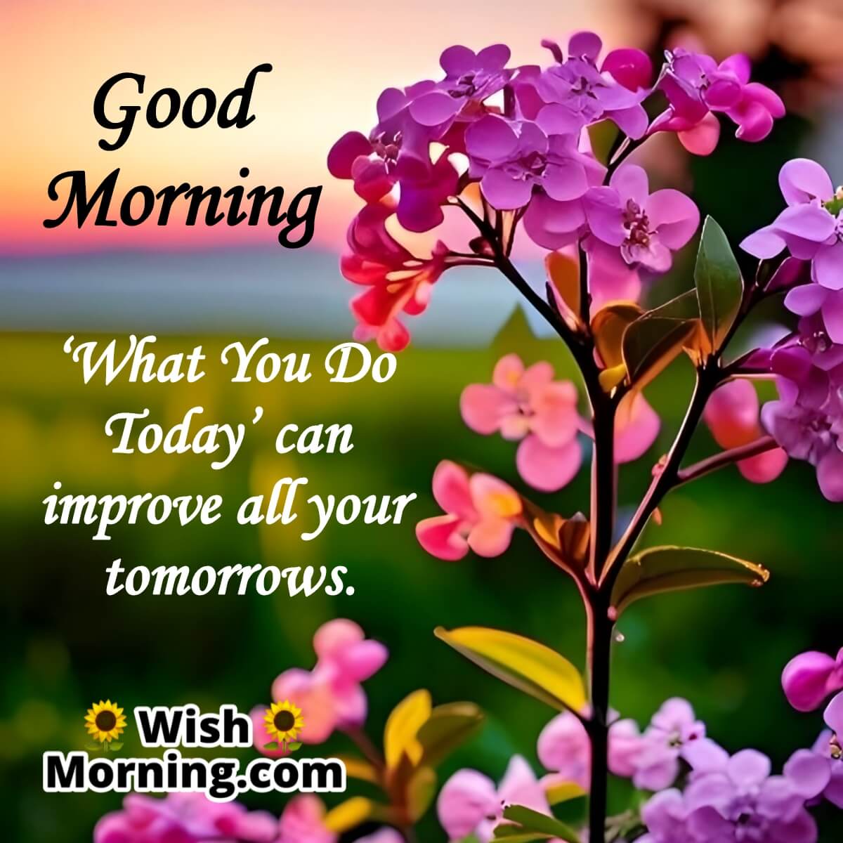 Good Morning Quotes Good Morning Quotes