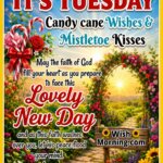 Tuesday Candy Cane Wishes