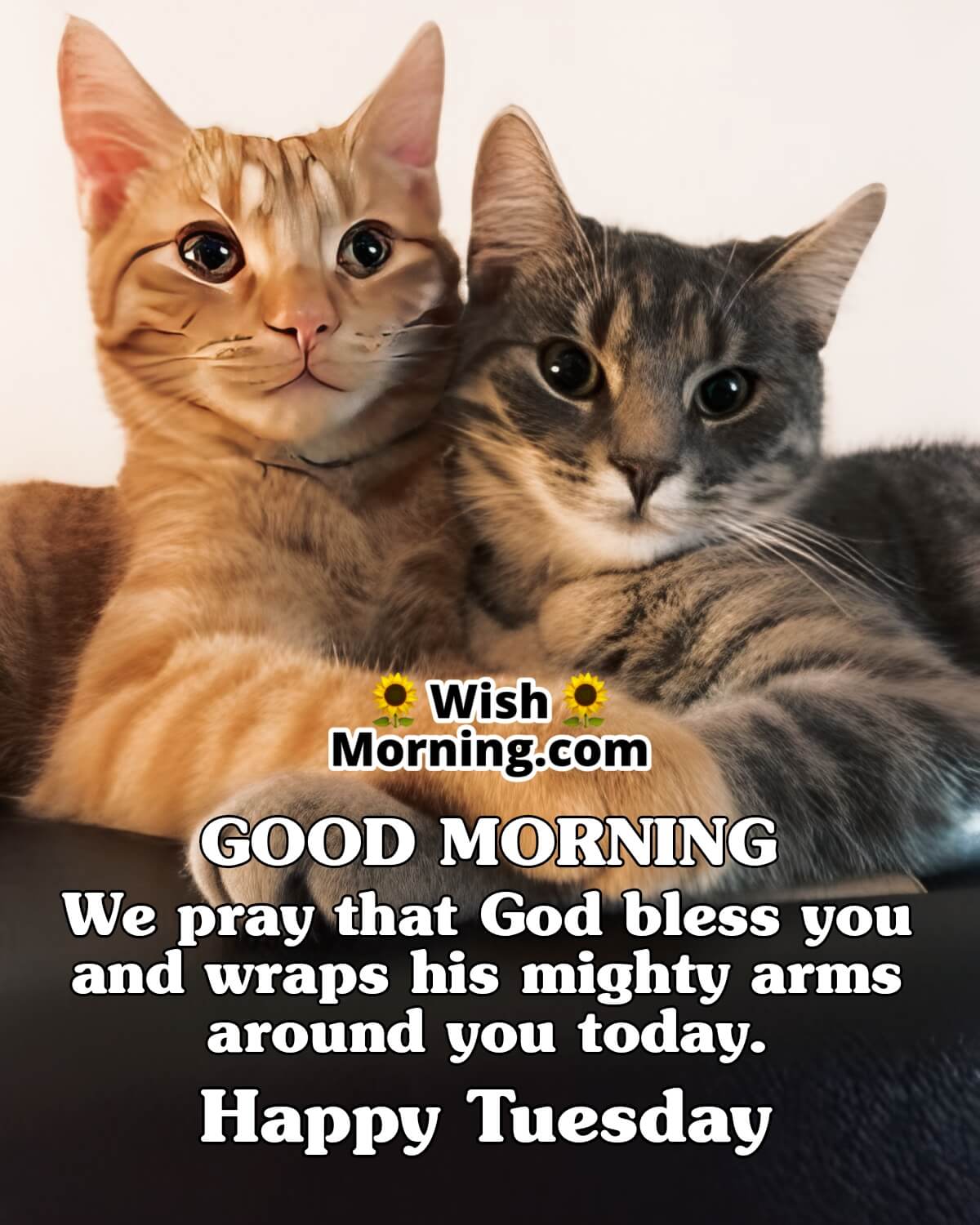 Good Morning Tuesday Blessing