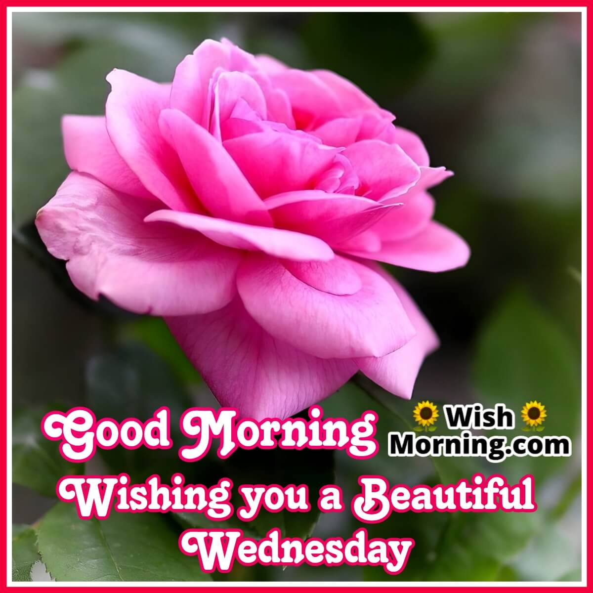 Good Morning Wishing You A Beautiful Wednesday