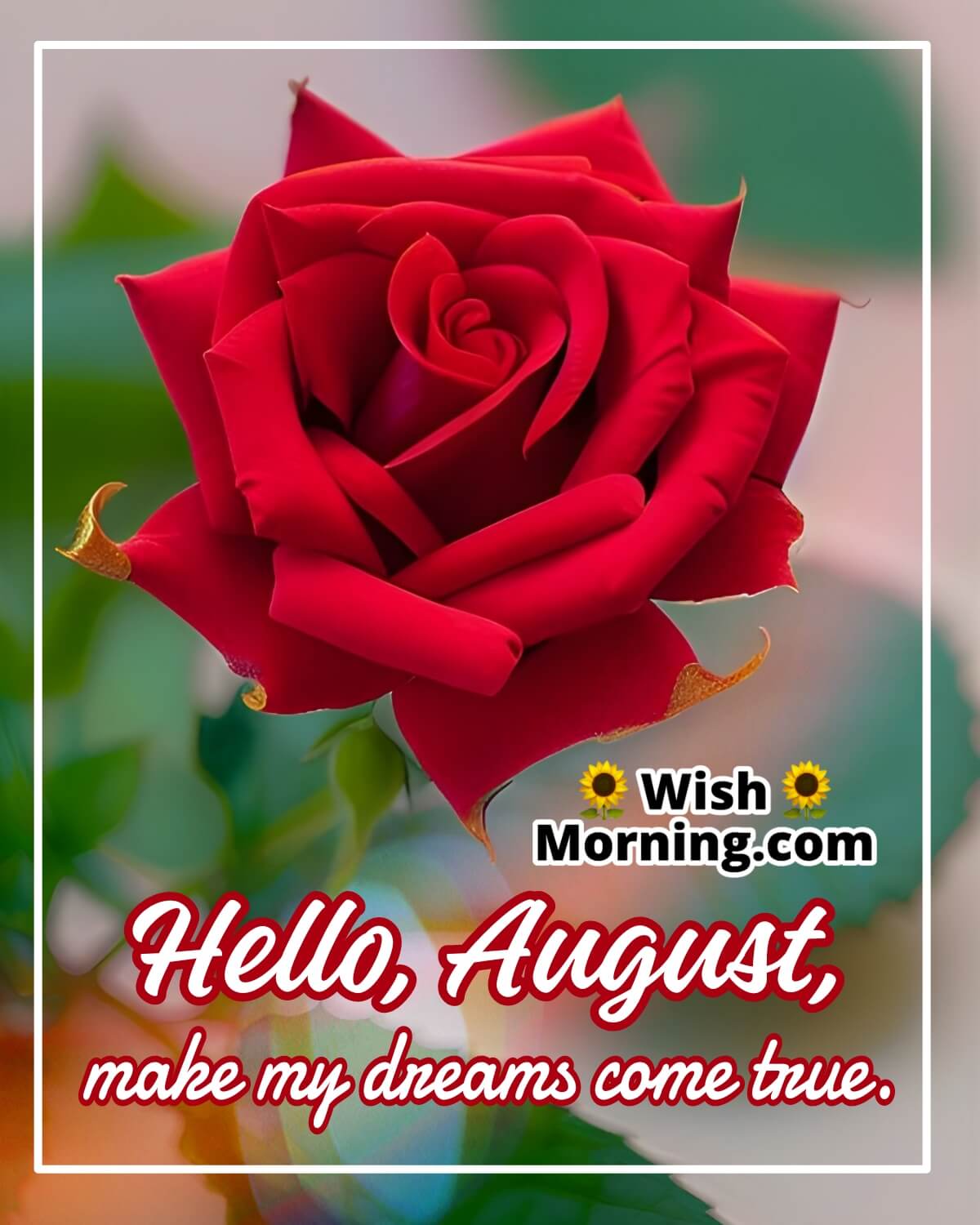 Hello August Wish Image