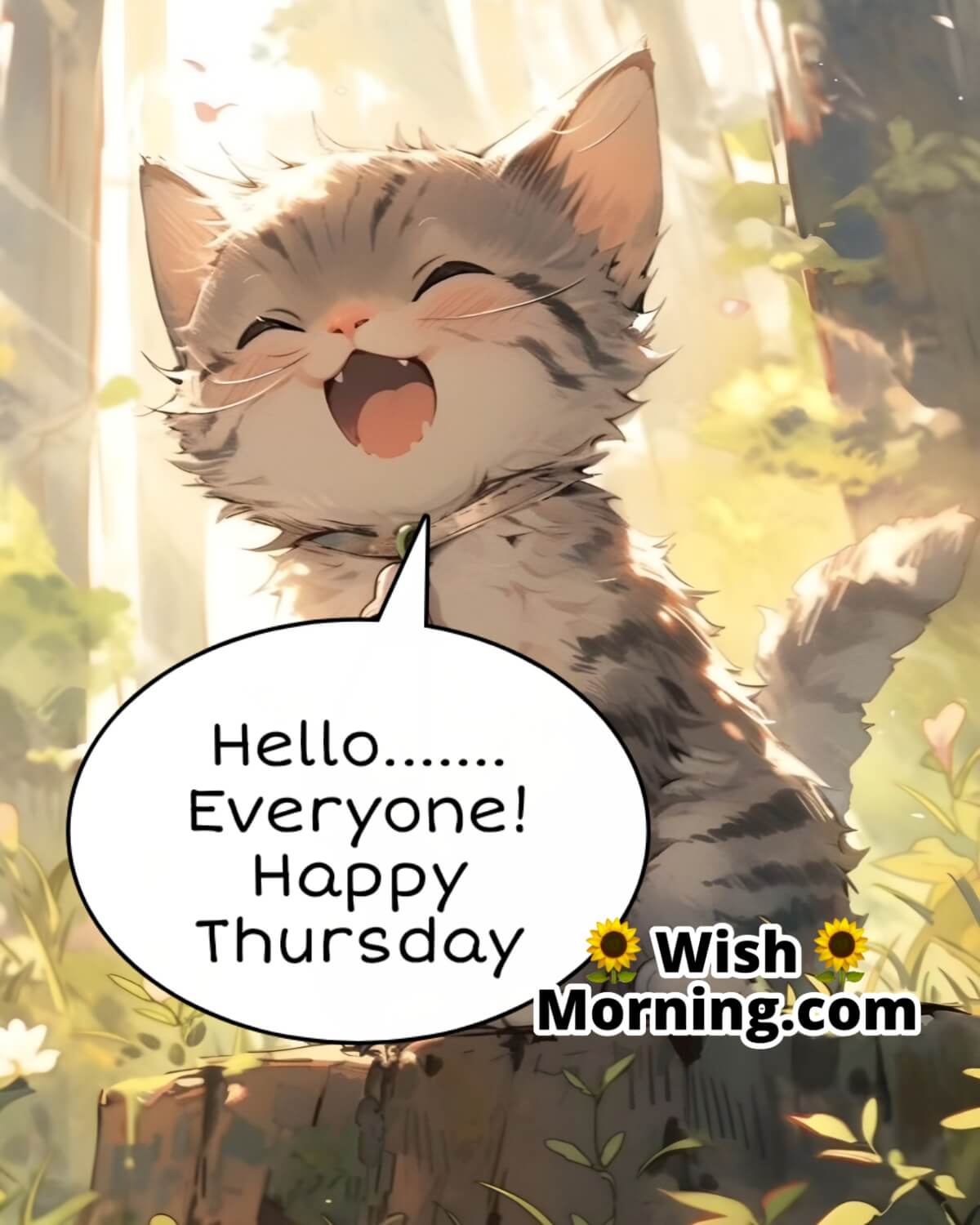 Hello Everyone! Happy Thursday